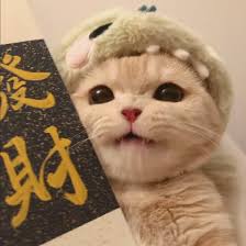 Ảnh đại diện Mai Xuân Trang